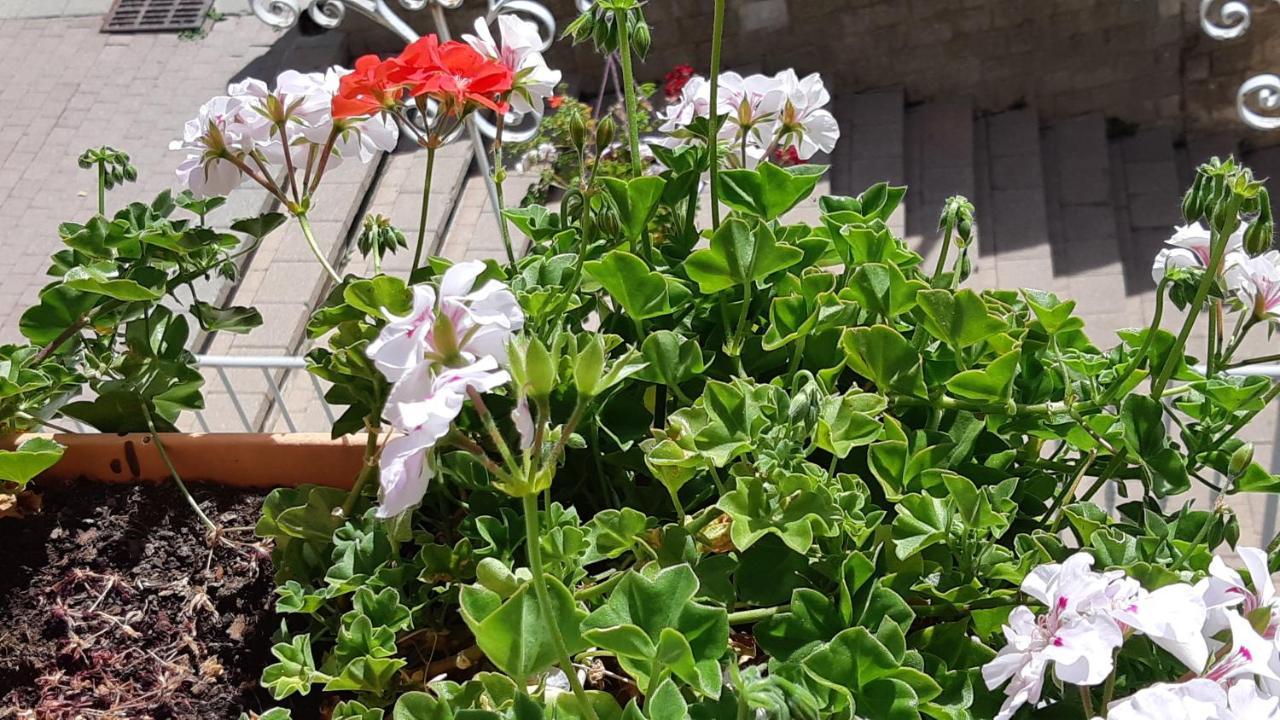 Maison A Tour Briancon Εξωτερικό φωτογραφία